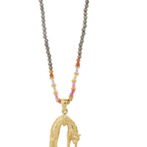 Leopard ketting.